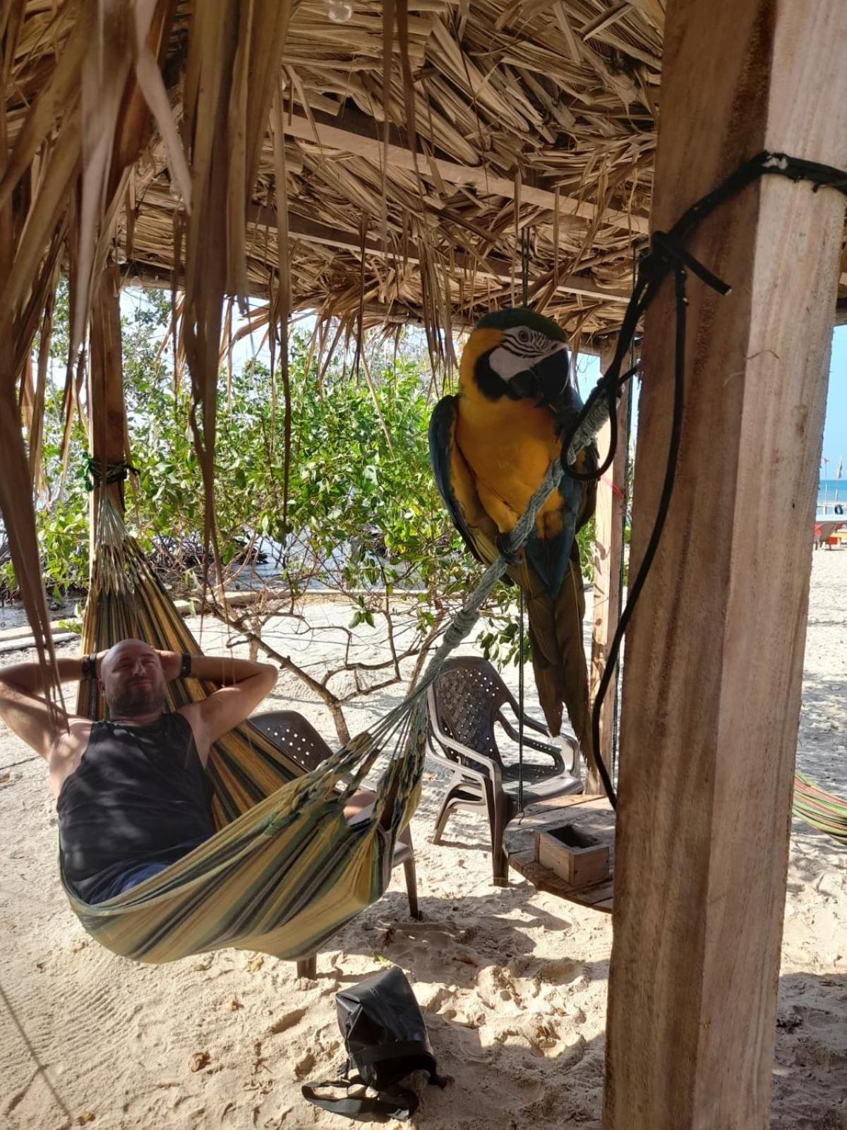 Santa Lova Eco-Hostel Isla Tintipan Tintipan Island المظهر الخارجي الصورة